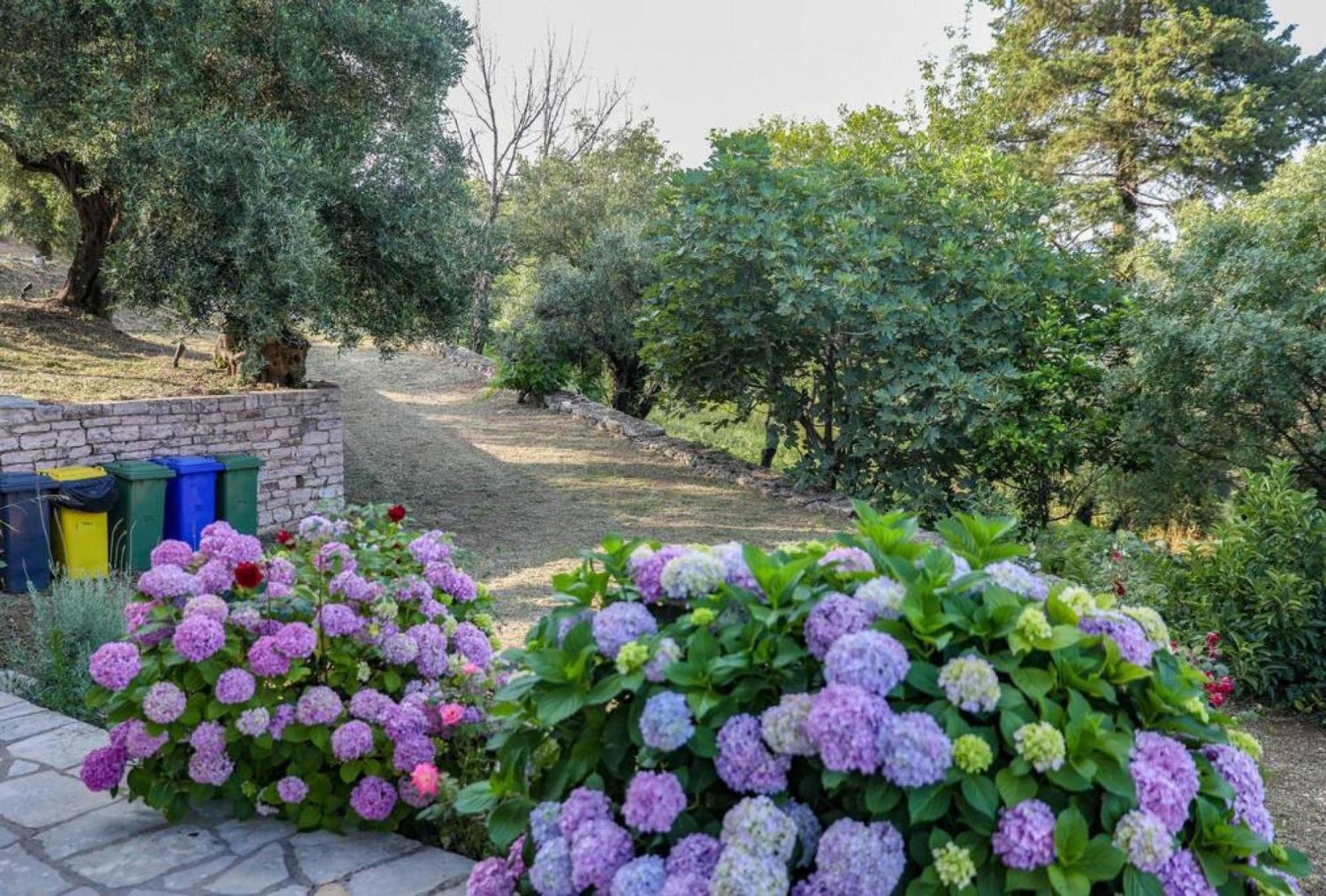 Sinies Stone Cottage - Ne Corfu Agnítsini 외부 사진
