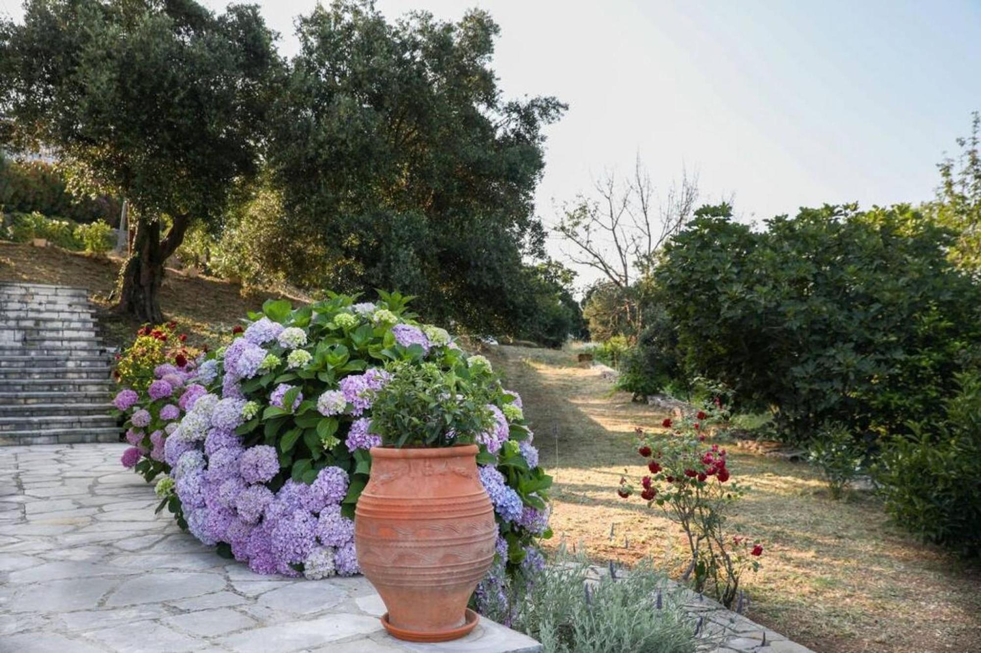 Sinies Stone Cottage - Ne Corfu Agnítsini 외부 사진
